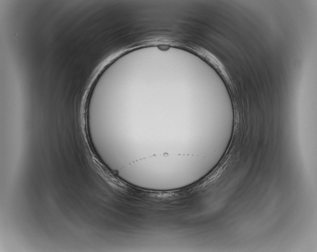 X0000116121435200911301318