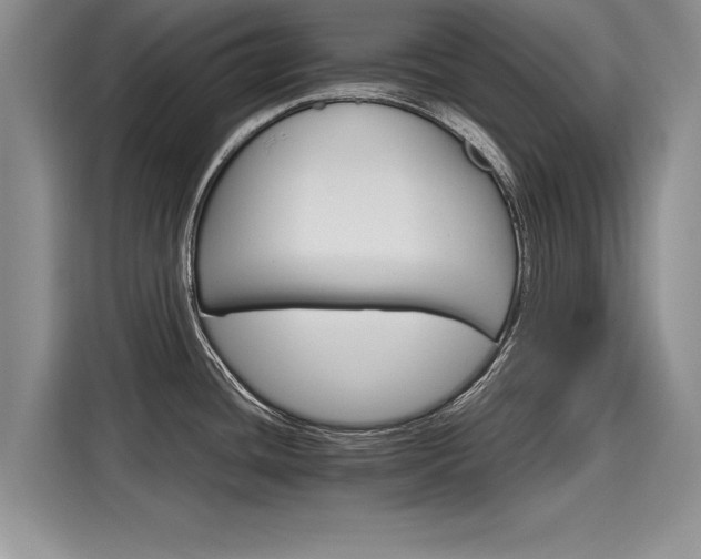 X0000116121436200911301318