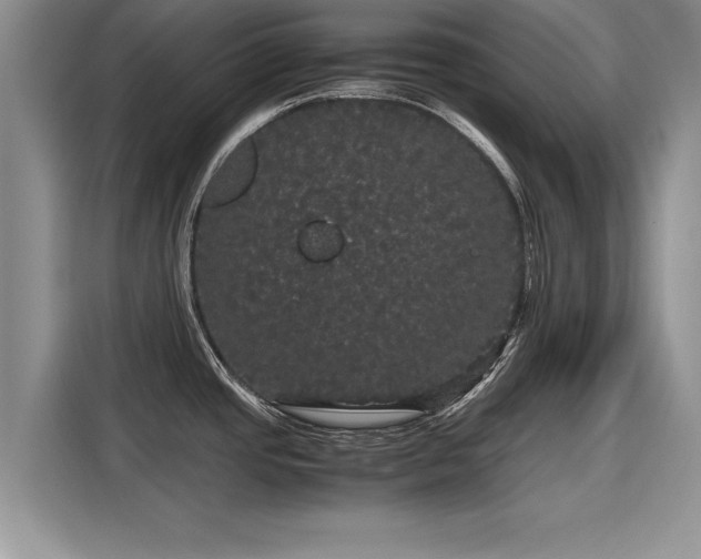 X0000116121437200911301318