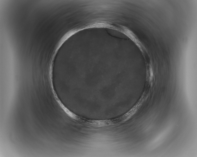 X0000116121438200911301318