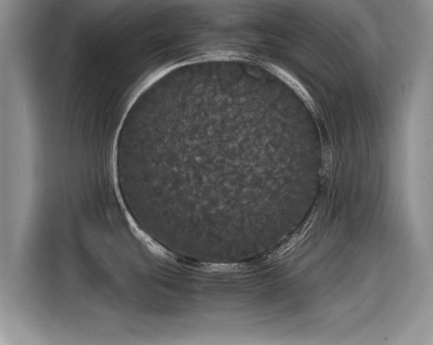 X0000116121439200911301318