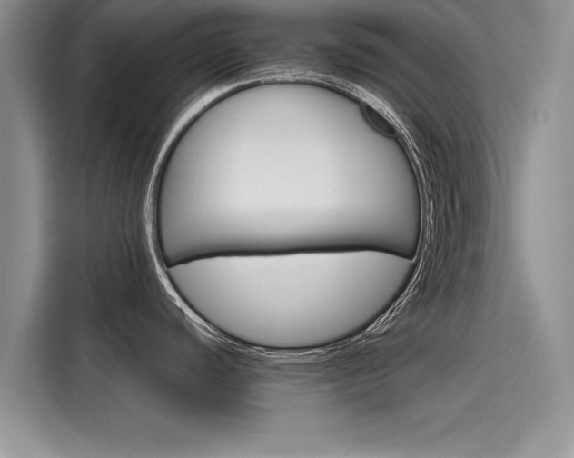 X0000116121440200911301318