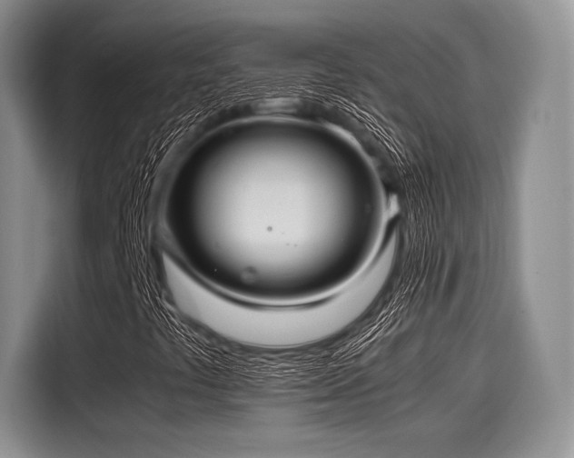 X0000116121441200911301317