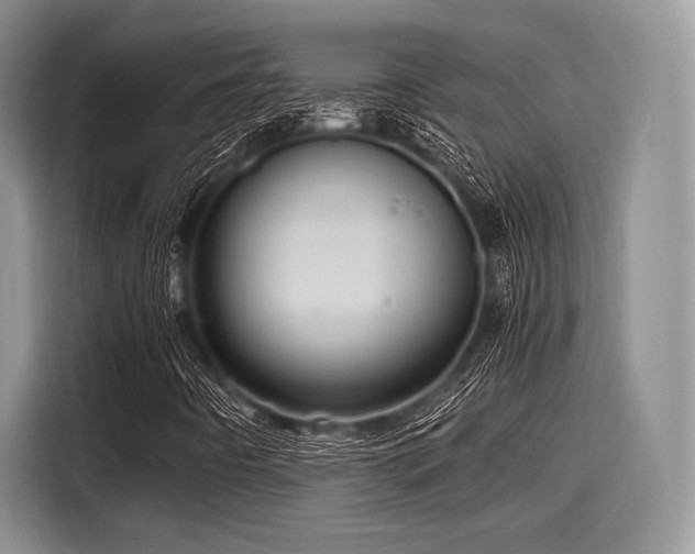 X0000116121442200911301317