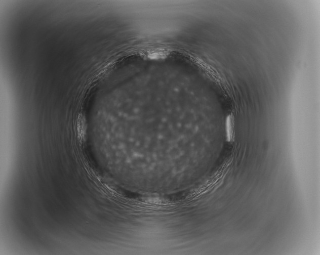 X0000116121443200911301317