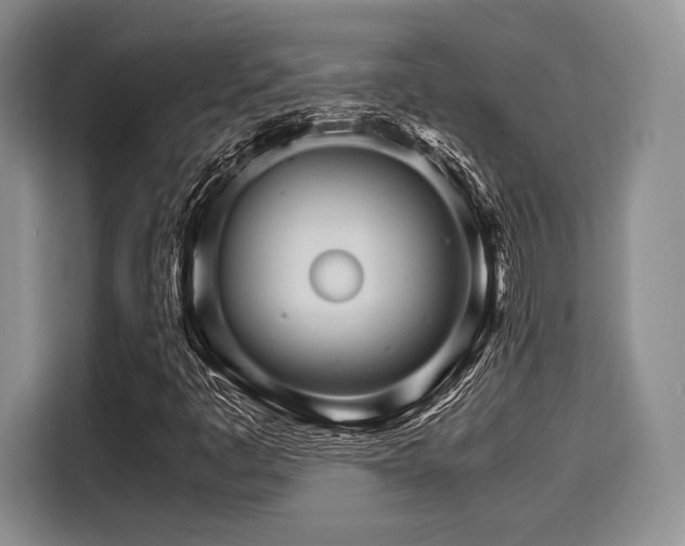 X0000116121445200911301317