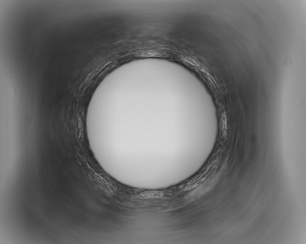 X0000116121446200911301317