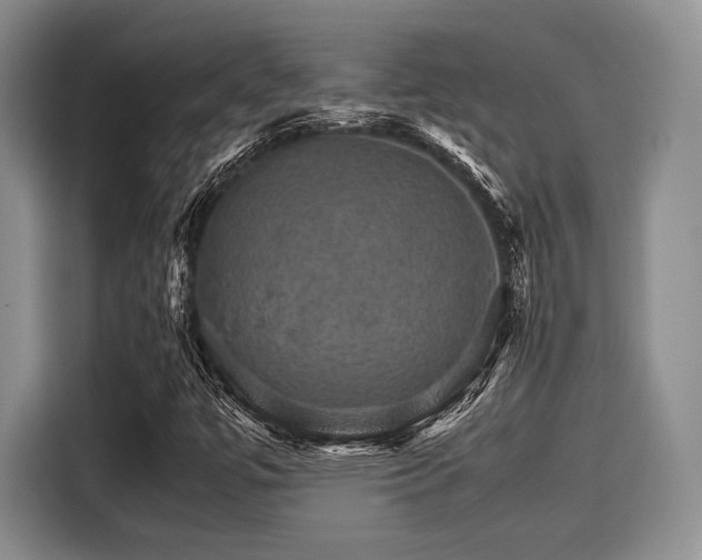 X0000116121447200911301317