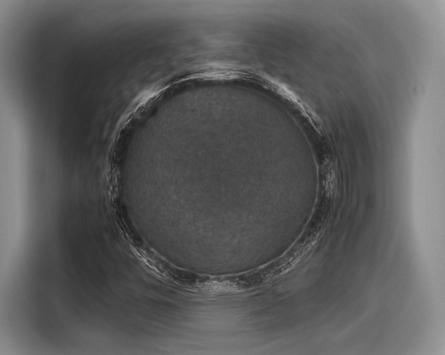 X0000116121448200911301317