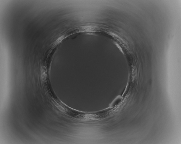 X0000116121449200911301317