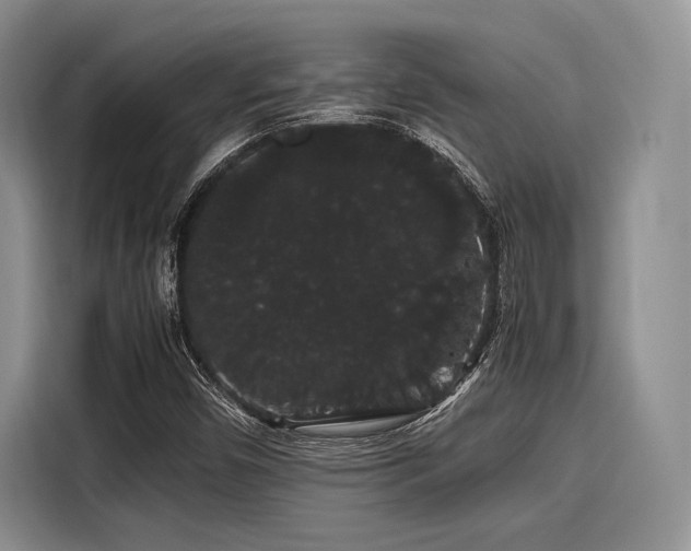 X0000116121450200911301317