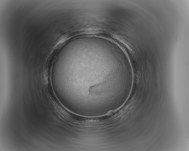 X0000116121451200911301317