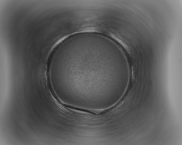 X0000116121452200911301317