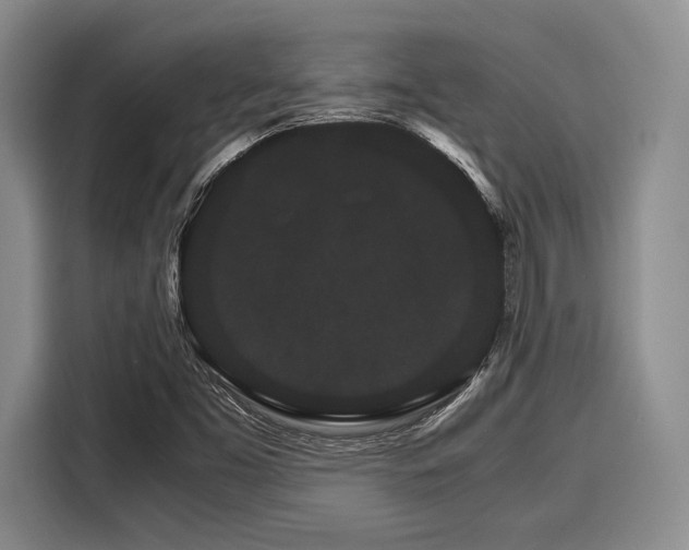 X0000116121453200911301317