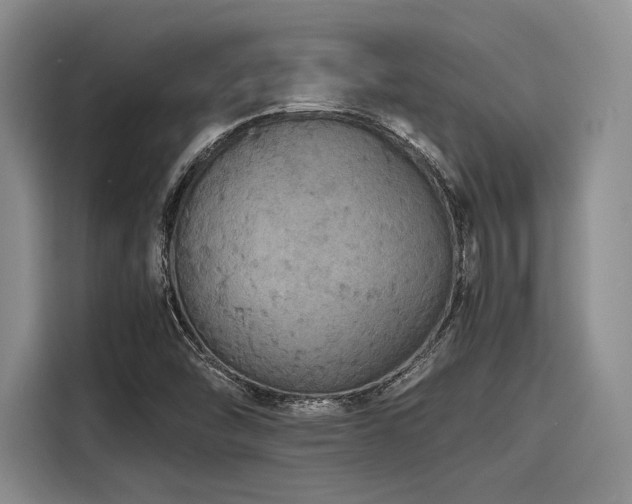 X0000116121454200911301317