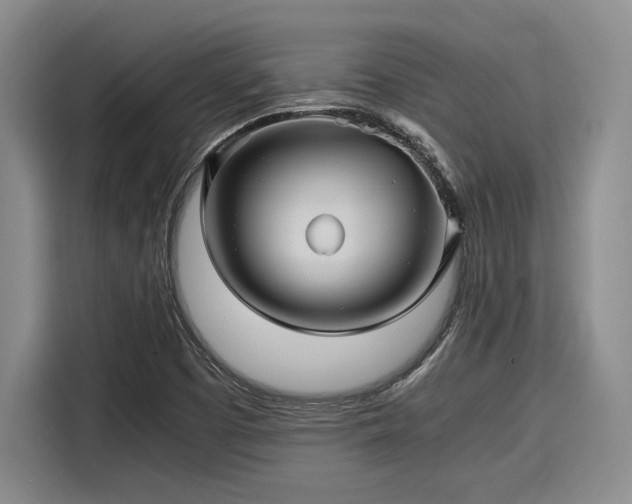 X0000116121457200911301317