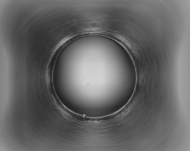 X0000116121458200911301317