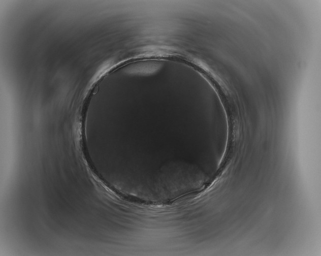 X0000116121459200911301317