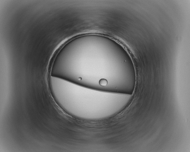 X0000116121460200911301317