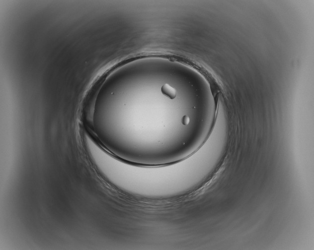 X0000116121461200911301317