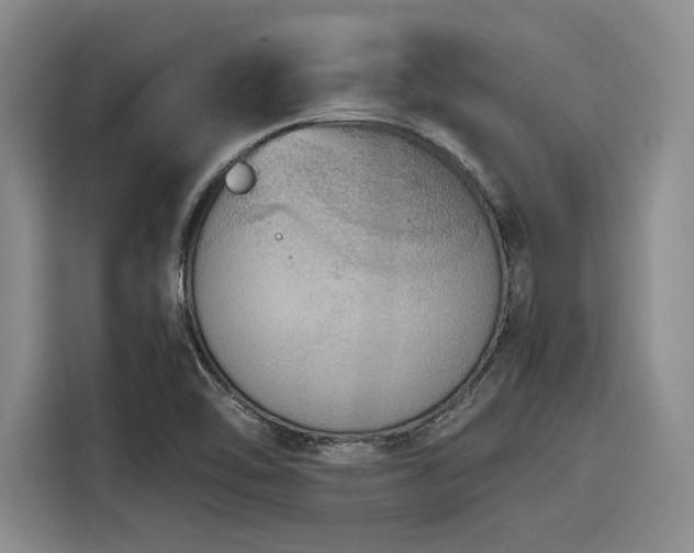 X0000116121462200911301317