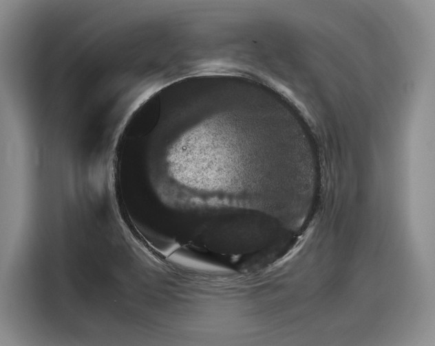 X0000116121463200911301317