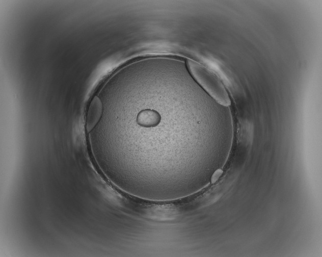 X0000116121464200911301317