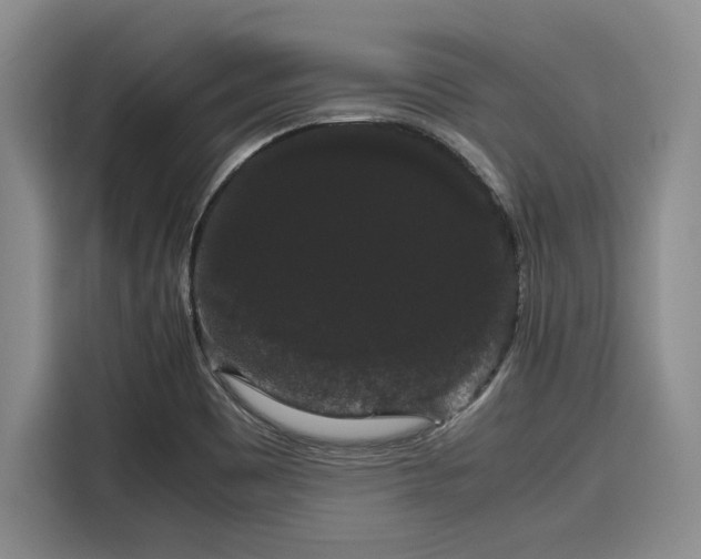 X0000116121465200911301317