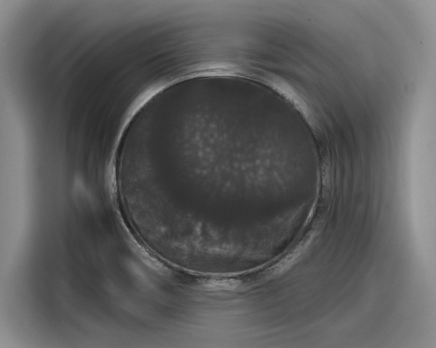 X0000116121466200911301317