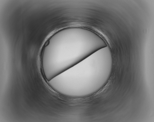 X0000116121467200911301317