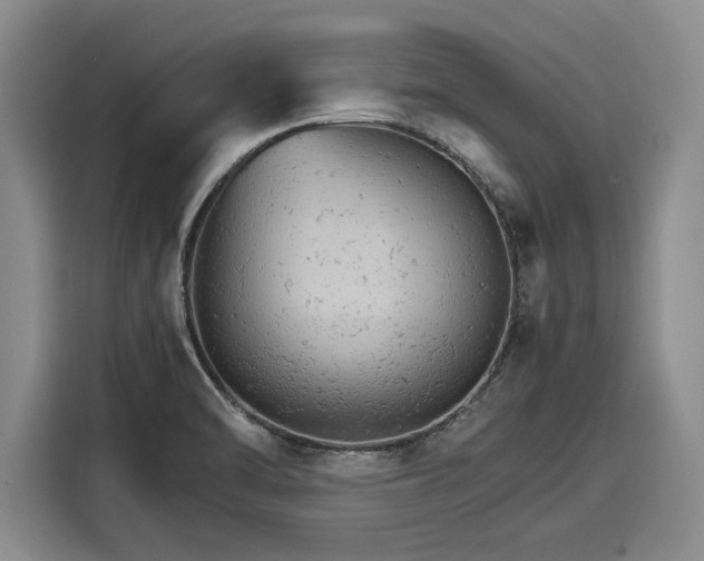 X0000116121470200911301317