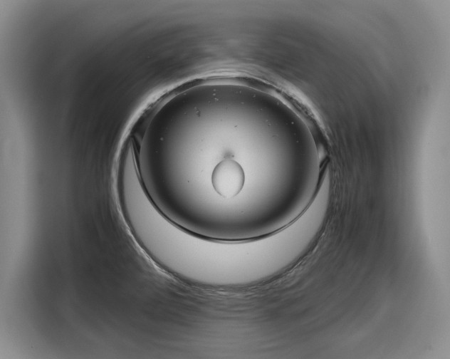 X0000116121472200911301317