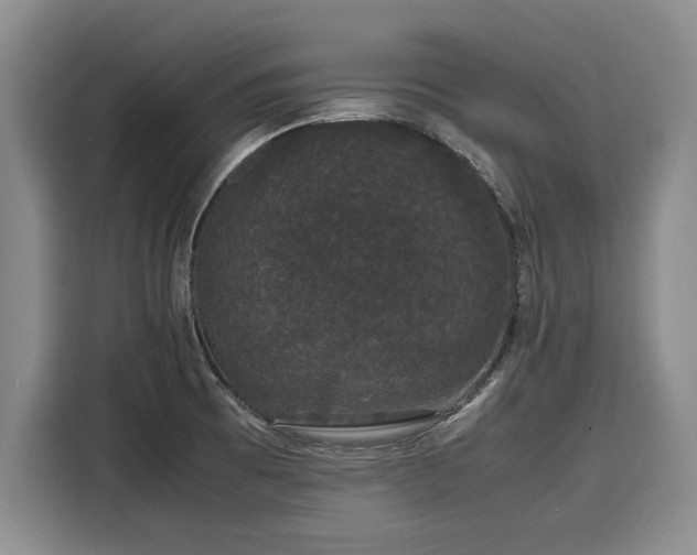 X0000116121473200911301317