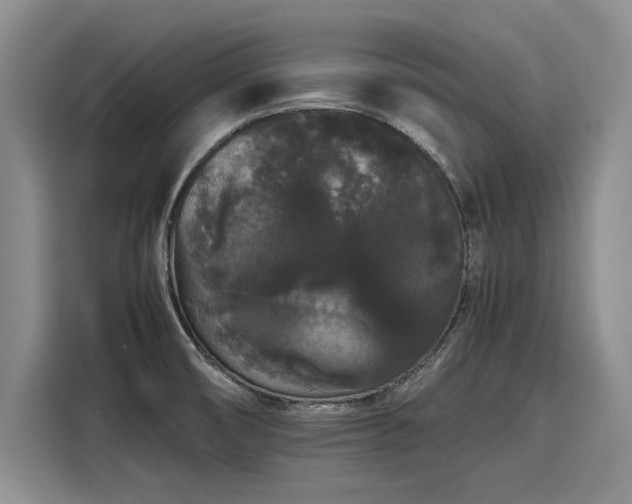 X0000116121474200911301317