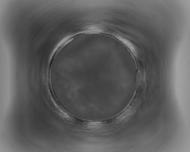 X0000116121477200911301317