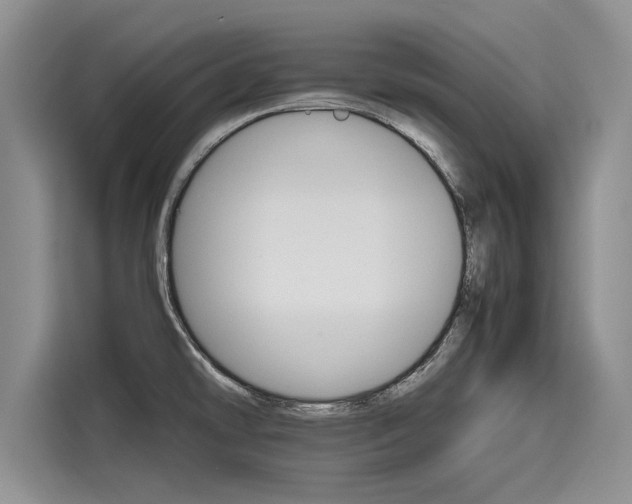 X0000116121478200911301317