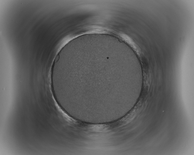 X0000116121479200911301317