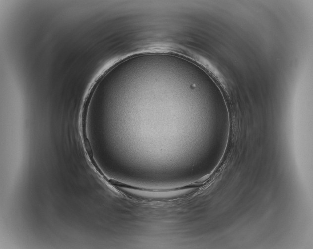 X0000116121480200911301317