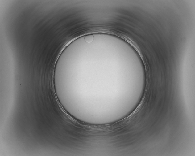 X0000116121481200911301317