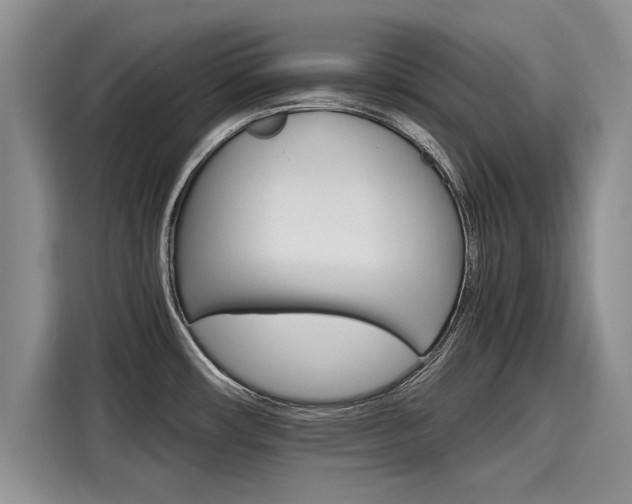 X0000116121482200911301317