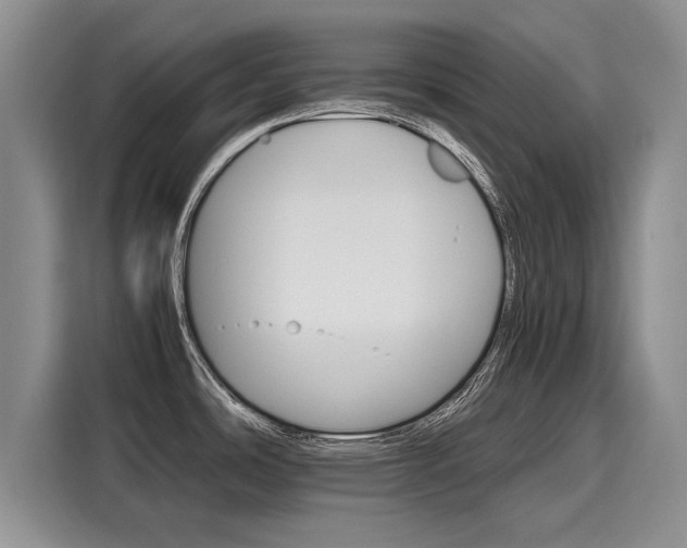 X0000116121486200911301317