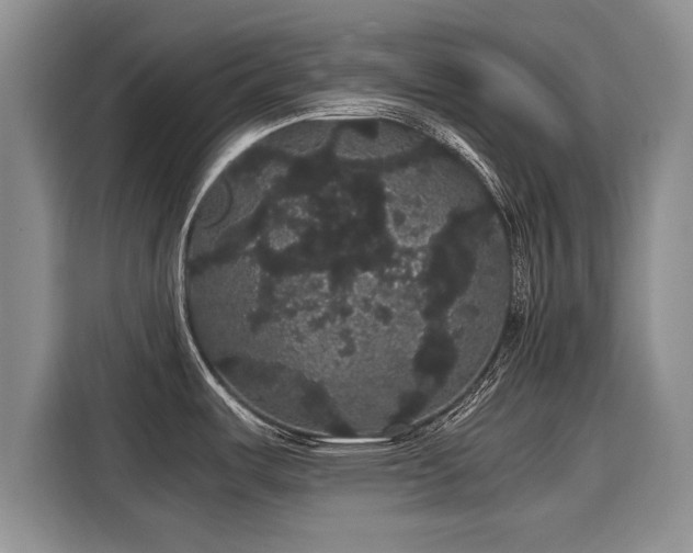 X0000116121487200911301317