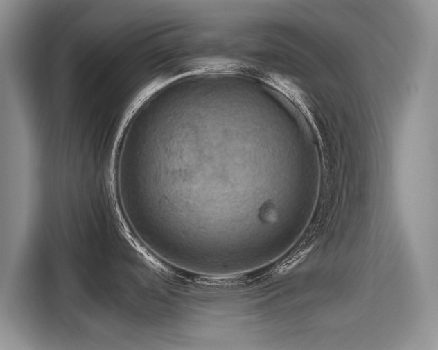 X0000116121488200911301317