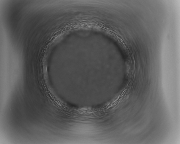 X0000116121489200911301316