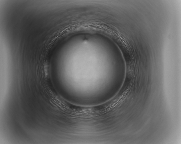 X0000116121490200911301316