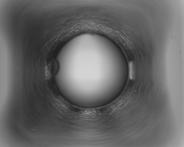 X0000116121491200911301316