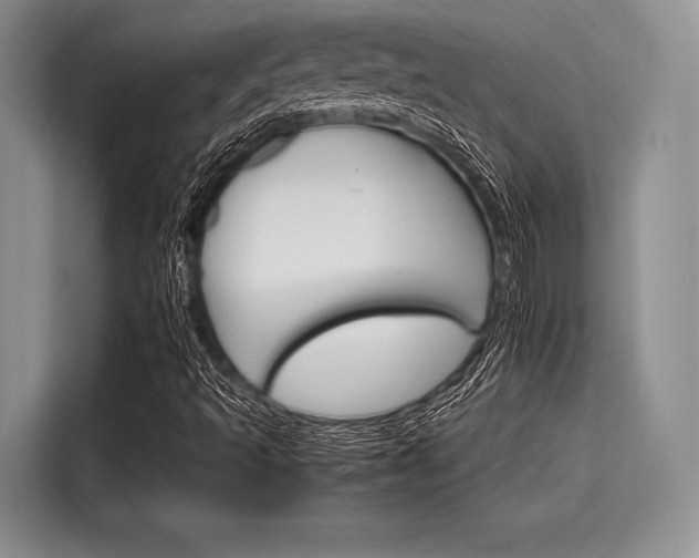 X0000116121493200911301316