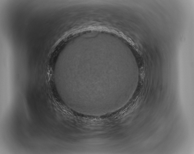 X0000116121495200911301316