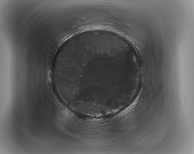 X0000116121497200911301316