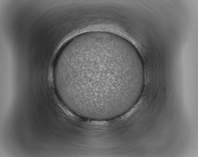 X0000116121498200911301316